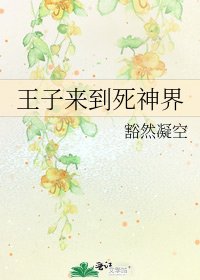 王子来到死神界
